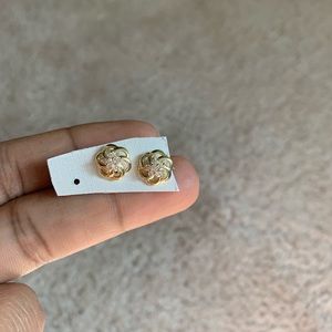 Stainless Steel Earring